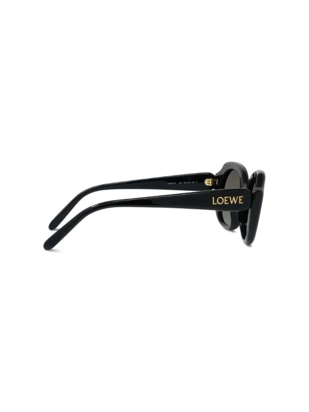 LOEWE new sunglasses